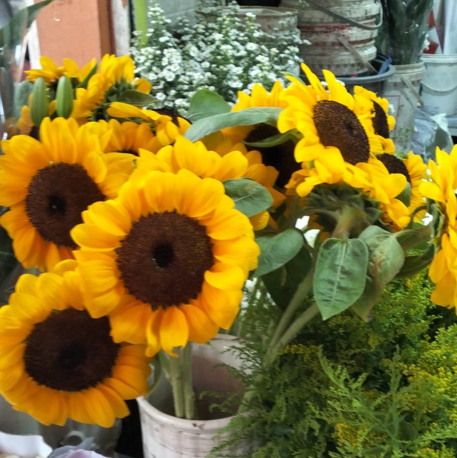 Hand Bouquet - Adji Florist